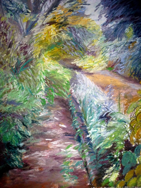 Fall Path in Sunnyside Court 2